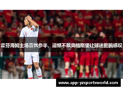 霍芬海姆主场喜忧参半，遗憾不敌奥格斯堡让球迷扼腕感叹