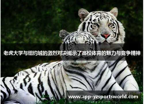 老虎大学与纽约城的激烈对决揭示了高校体育的魅力与竞争精神