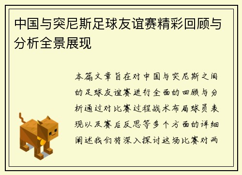 中国与突尼斯足球友谊赛精彩回顾与分析全景展现
